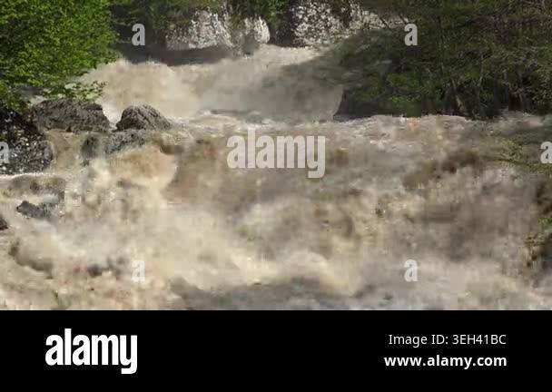 Foaming muddy river surges through forest with violent current and ...