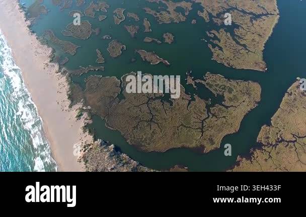 Aerial view of reeds river channels in a coastal delta beside a long ...