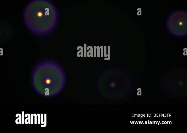 Fluorescent microscopic cells on black background Stock Video Footage ...