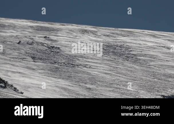 Blizzard erosion patterns on snow surface shaped by strong winter wind ...