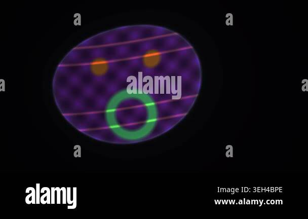 Microscopic view of cell division process Stock Video Footage - Alamy