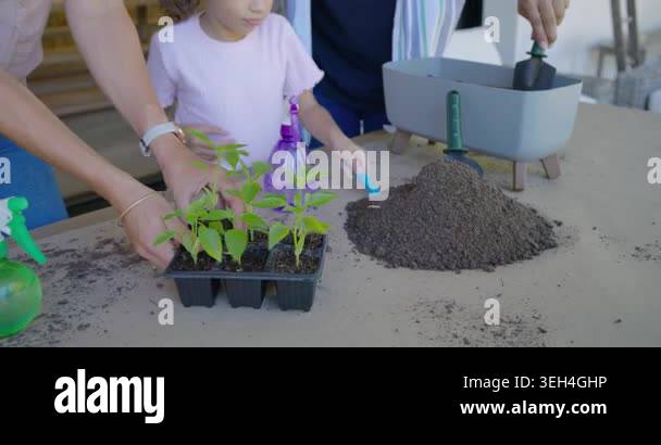 Family prompted by seedling tray and soil, parents planting while child ...