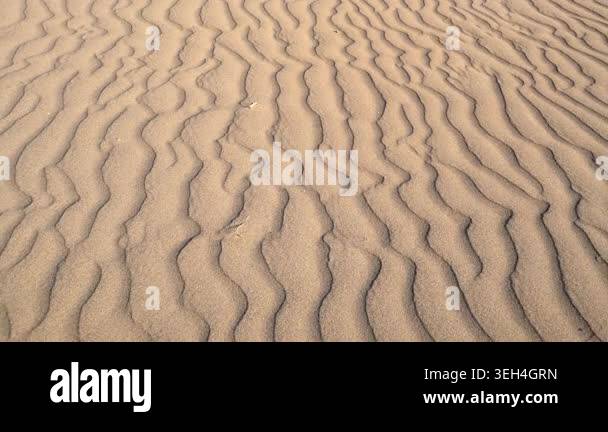 Close view of desert sand ripples and dune patterns across a barren ...