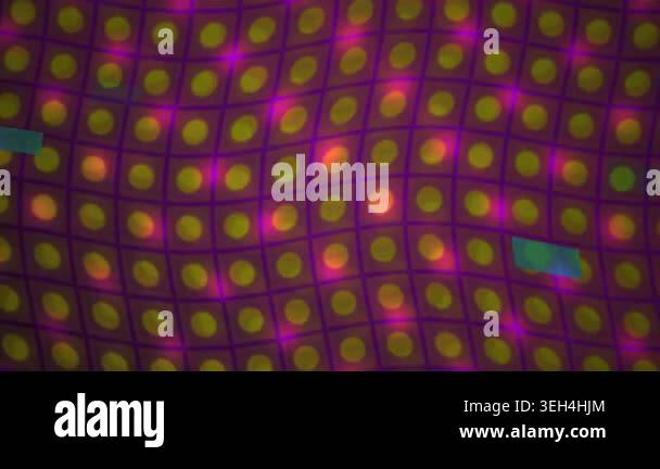 Microscopic view of colorful cells in grid Stock Video Footage - Alamy