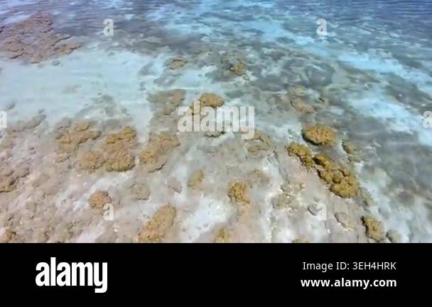 Aerial tropical shallows reveal reef rocks, white sand, algae, and ...