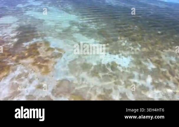 Aerial tropical shallows reveal reef rocks, white sand, algae, and ...