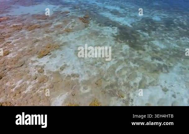 Aerial tropical shallows reveal reef rocks, white sand, algae, and ...