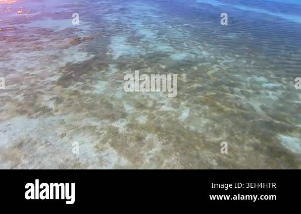 Aerial tropical shallows reveal reef rocks, white sand, algae, and ...