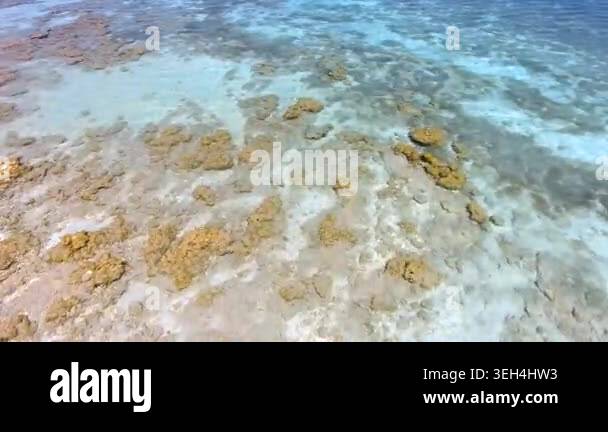 Aerial tropical shallows reveal reef rocks, white sand, algae, and ...