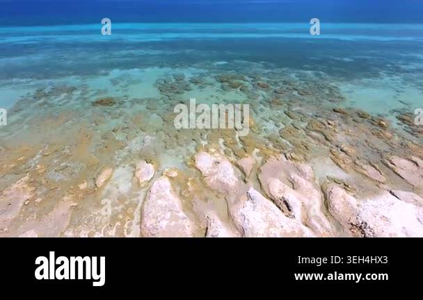 Aerial tropical shallows reveal reef rocks, white sand, algae, and ...