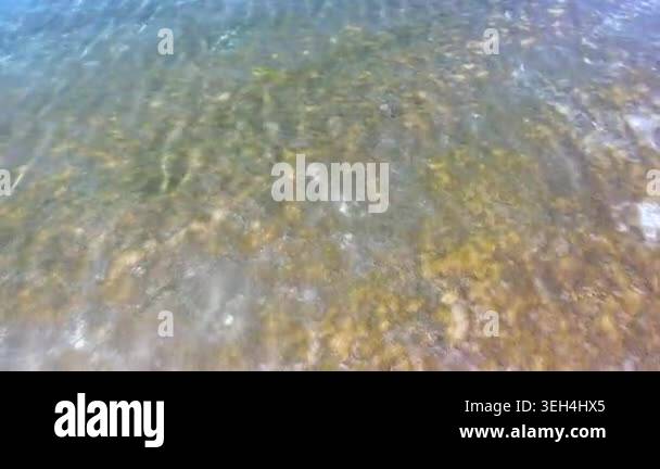 Aerial tropical shallows reveal reef rocks, white sand, algae, and ...