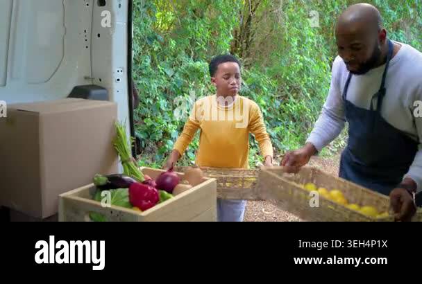 At van African American father dumping lemons showing onion guiding son ...