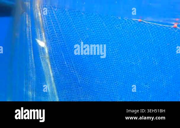 Fishing net is pulled underwater toward a boat through blue water in a ...