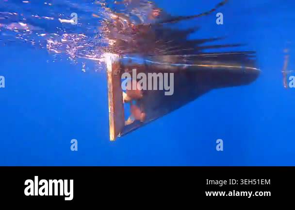 Old wooden boat propeller and rudder seen underwater with rust, wear ...