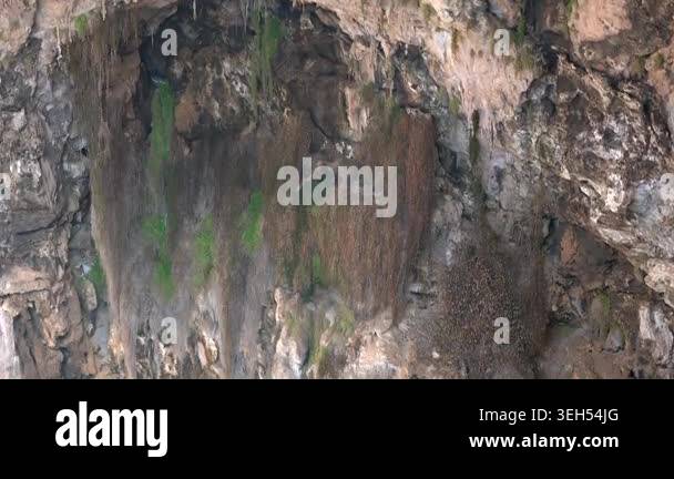 Rock soil layers line cave wall with stalactites, sediment bands ...