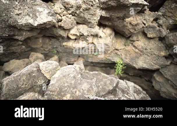 Basalt lava plain with porous volcanic rocks and sparse vegetation ...