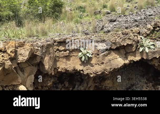 Volcanic cave ceiling displays porous gas textures and layered stone ...
