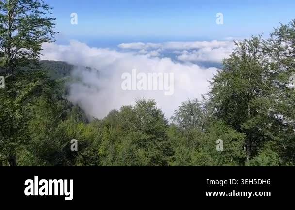 Aerial forested mountains above clouds in the Bolivia Yungas, lush ...