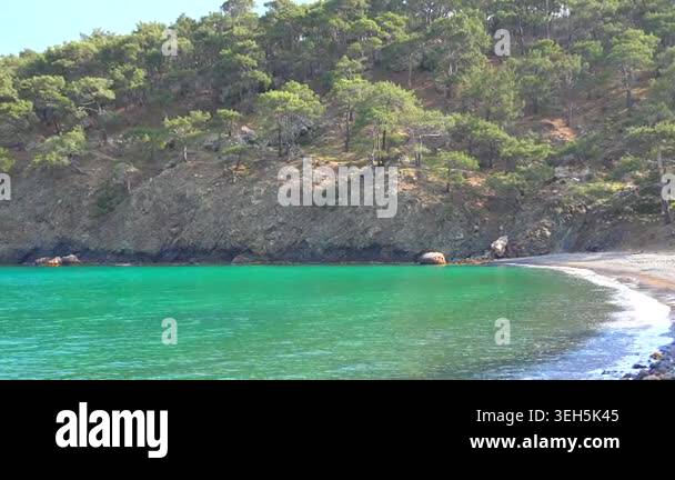 Turquoise cove meets dense forest shoreline, untouched coastal waters ...