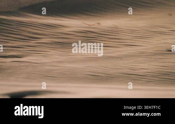 A mesmerizing sand wave flow pattern loop featuring smooth organic ...