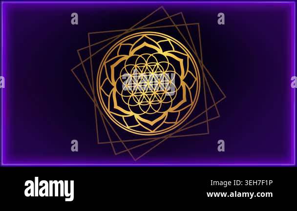 A mesmerizing golden cymatics sound wave loop featuring flowing ...