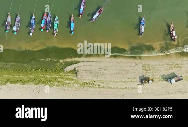 Top view of algae forming along the sandy coast of Patong Beach with ...