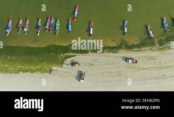 Top view of algae forming along the sandy coast of Patong Beach with ...