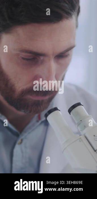 white scientist focused at microscope bench, inspecting glass slides ...