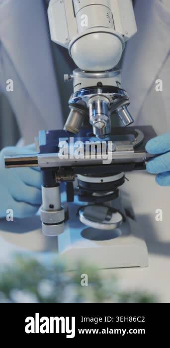 middleaged white scientist inspects microscope intensely and adjusts ...