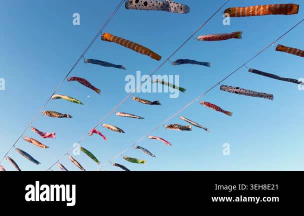 Koinobori carp and garden eel streamers swaying in the wind during ...