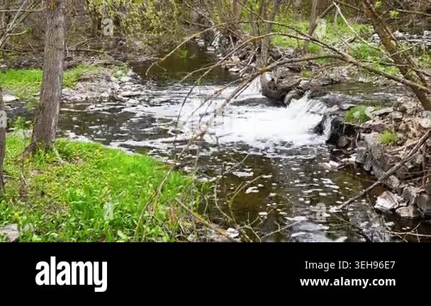Small waterfall creates white foam inside rushing forest river during ...