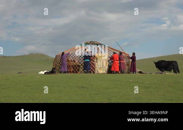 Traditional Mongolians tie wooden lattice and poles while assembling a ...