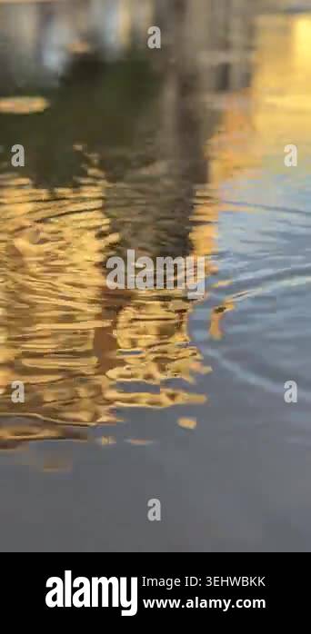 Vertical close-up video of May rain drops falling into a puddle on the ...