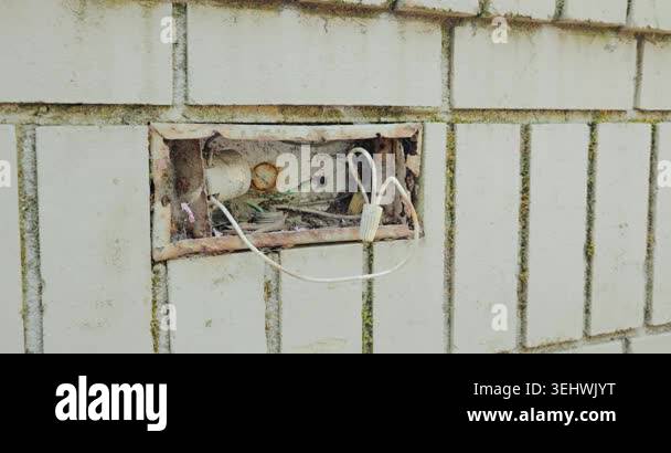 Exposed dangerous electrical wiring inside rusty junction box on wall ...