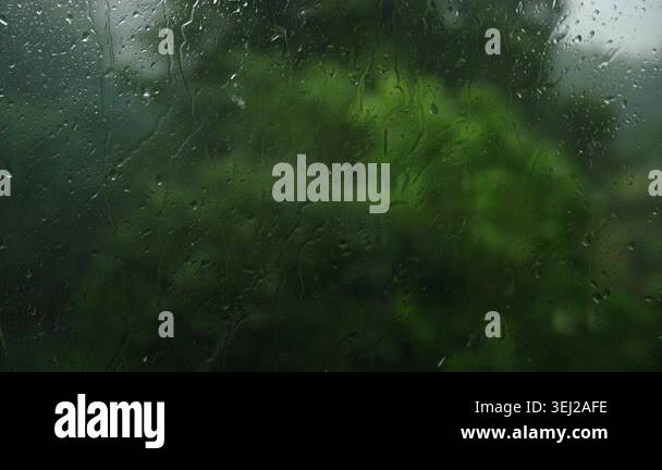 Heavy wind and rain outside window at summer time. Misty landscape at ...