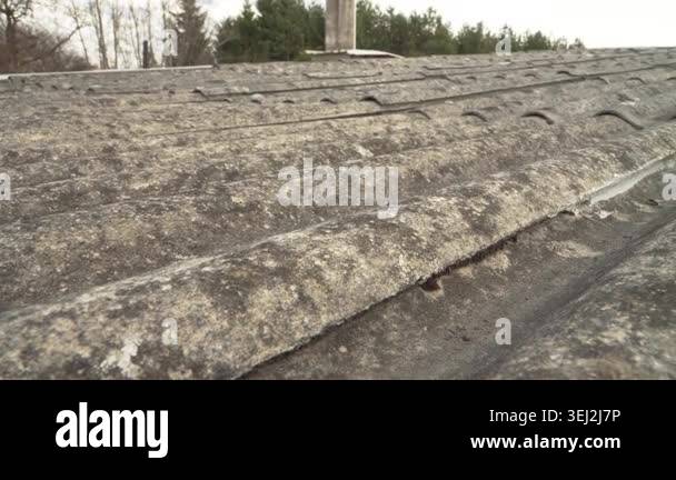 Close-up of aged asbestos cement roofing with moss and lichen growth ...