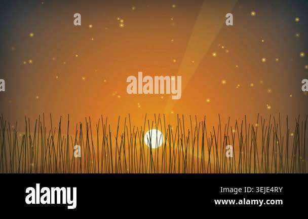 Abstract sunset with glowing particles rising over a field of grass ...