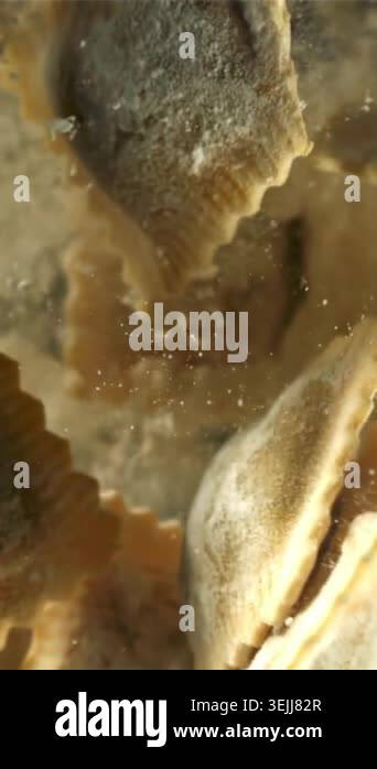 Italian ravioli fly up and fall down with flour. Filmed on a high-speed ...