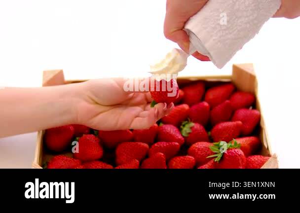 Woman holding ripe strawberry while spraying sweet whipped cream from ...