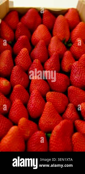 Luxury ripe strawberries neatly displayed in rustic wooden box on clean ...