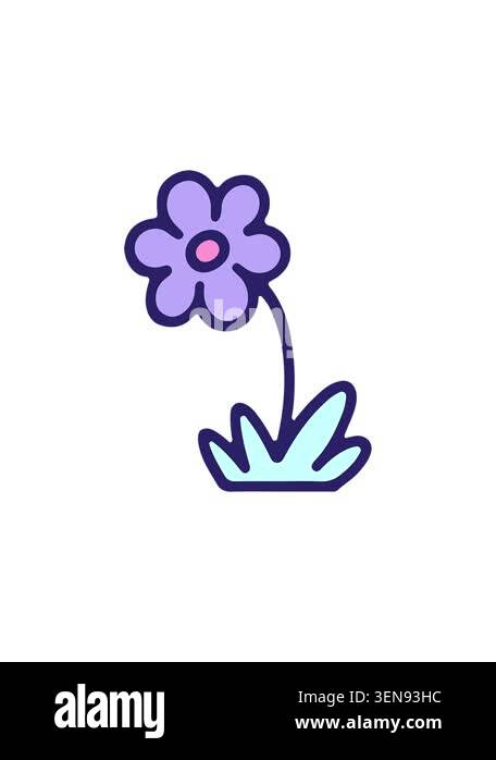 splitting effect animation of simple flower Stock Video Footage - Alamy