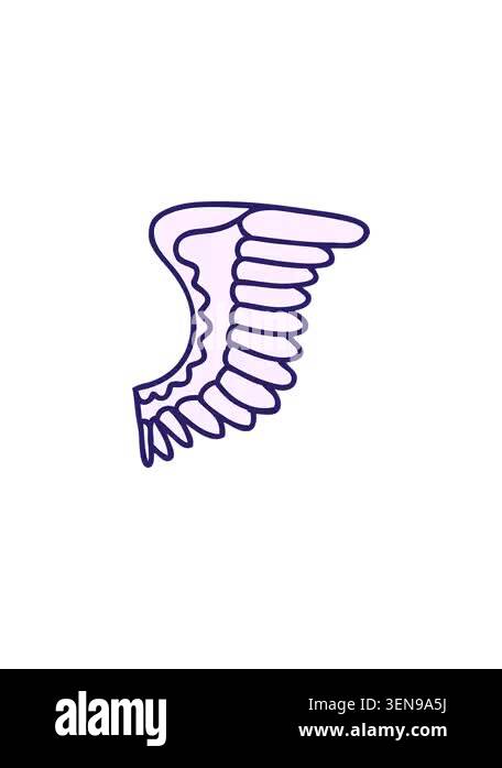 flashy sales animation of traditional style tattoo of a wing Stock ...