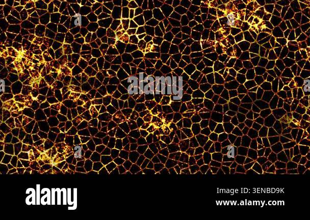 Abstract grid pattern warped by heat distortion, creating dynamic ...