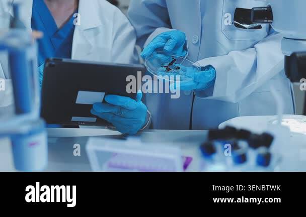 close up. a scientist with the test tube in the laboratory Stock Video ...