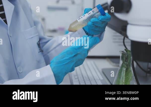 scientist holding test tube in laboratory Stock Video Footage - Alamy