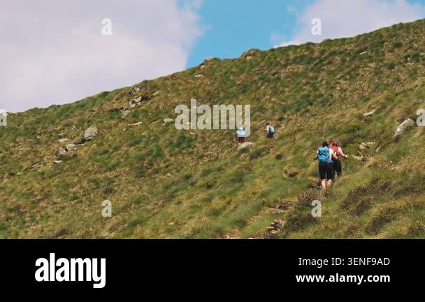 Group of four hikers with backpacks walking up steep green alpine slope ...