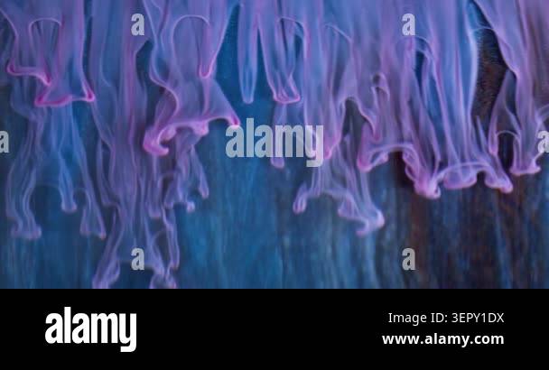 Splash art. Mix color. Defocused purple blue paint liquid glitter ...