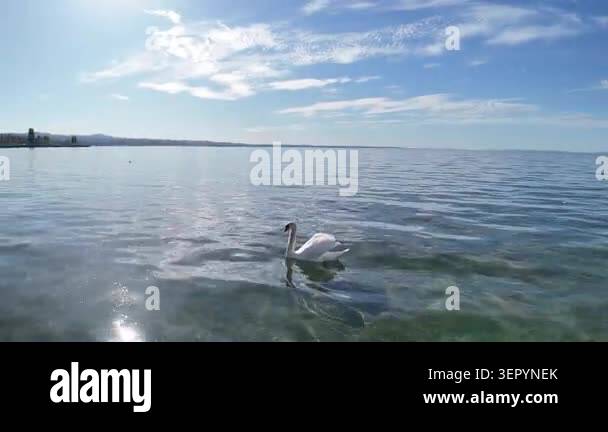 beautiful view of the lake Stock Video Footage - Alamy