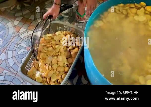 Raw Jengkol (Archidendron pauciflorum or Dogfruit, Stinky Bean) Soaking ...