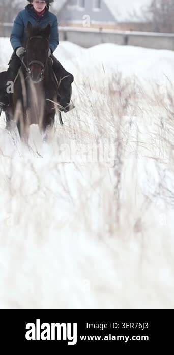 Young woman galloping on big red horse in snow field - slow-motion shot ...